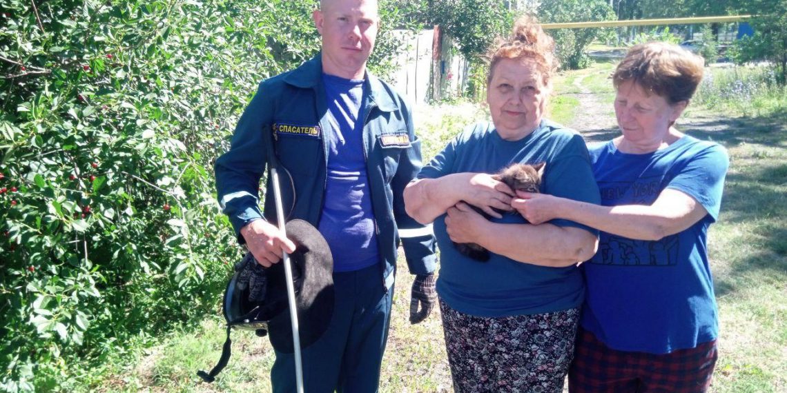 Ульяновские спасатели достали котёнка из сливной трубы в Поливно