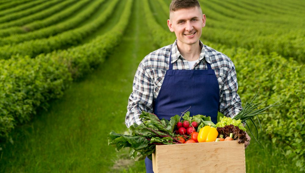 Бесплатная «Школа фермера» открывает набор в Ульяновской области
