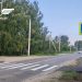 Два новых пешеходных перехода появились в Ульяновске