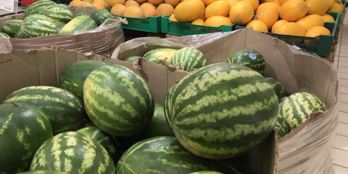 По урожаю бахчевых Ульяновская область заняла 5 место в ПФО