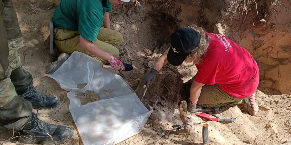 Поисковики из Ульяновска обнаружили в Беларуси останки красноармейцев времён ВОВ