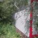 Жители Пригородного обратили внимание ульяновского мэра на бардак в посёлке