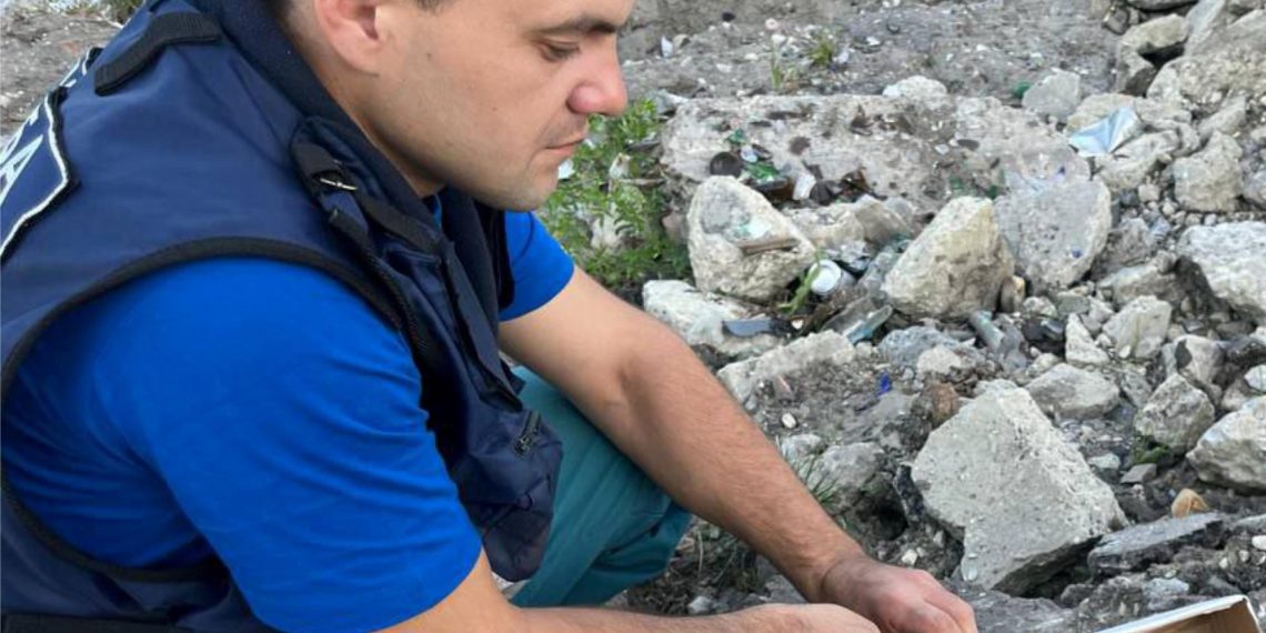 Спасатели ловили в ульяновской квартире летучую мышь