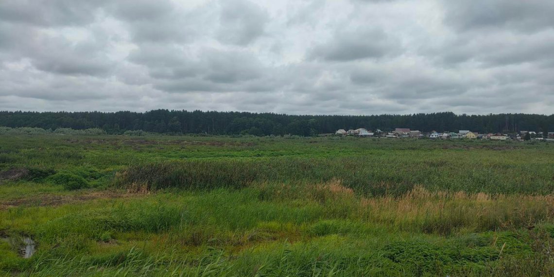 Расчистка пруда Красотка в посёлке Мулловка подходит к концу