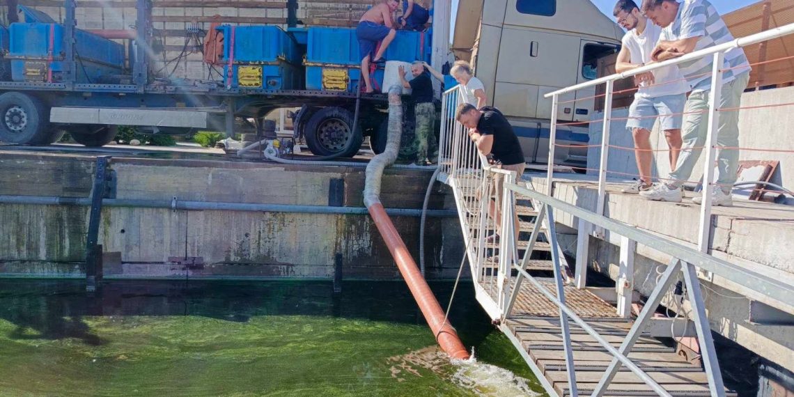 Четверть миллиона мальков стерляди выпустили в Волгу в Ульяновске