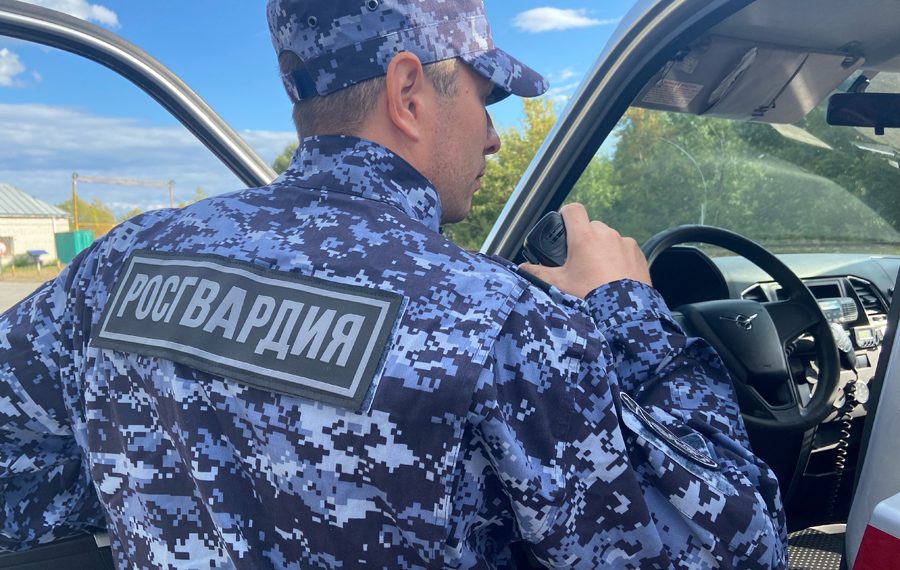 Магазинная воровка дважды обокрала один и тот же «Гулливер» в Ульяновске