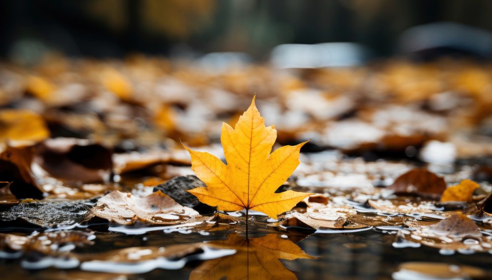 Какую погоду устроит в Ульяновске блокирующий антициклон на выходных