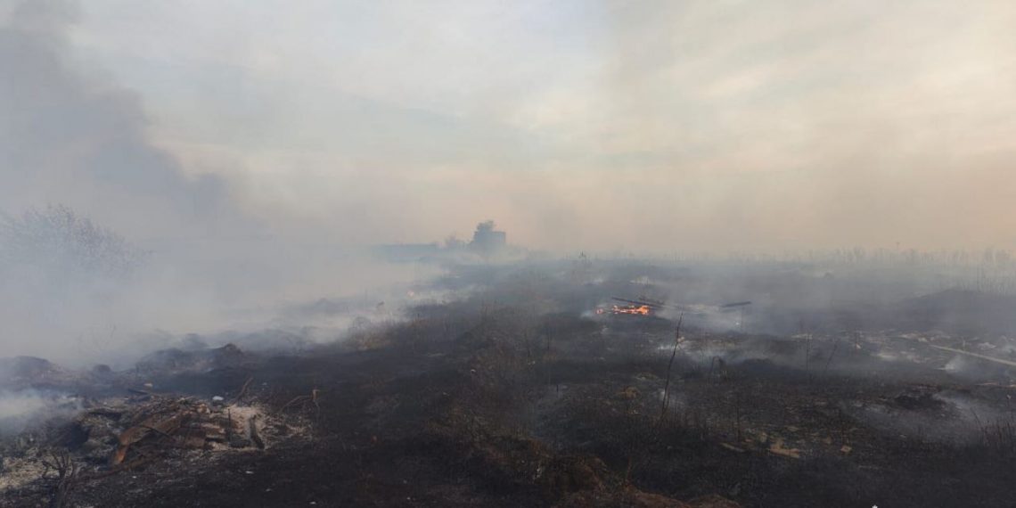 Большой природный пожар потушили в Барышском районе