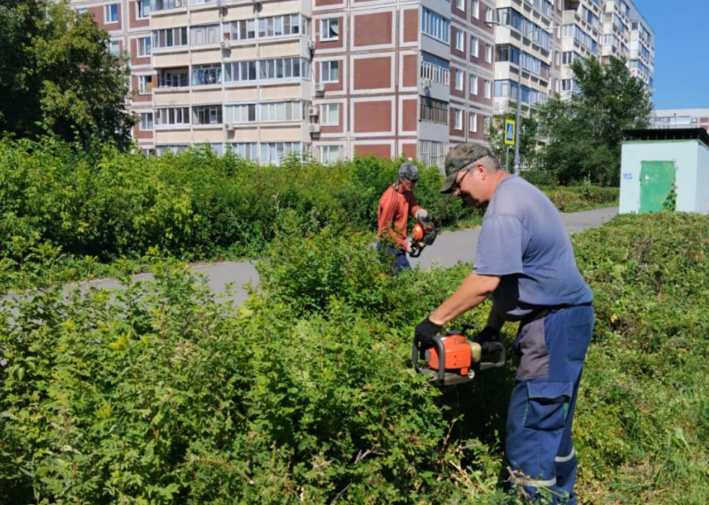 Безработным ульяновцам начали платить за общественный труд