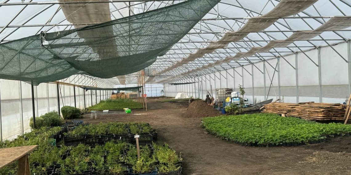 Цильнинскому питомнику «Розалия» помогут в контексте нацпроекта