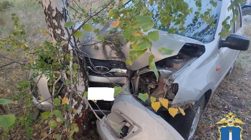 В Павловском районе пенсионерка на «Калине» улетела в кювет и протаранила в дерево