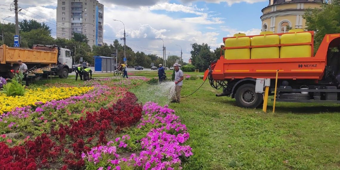 Для украшения и озеленения Ульяновска используют более 20 разновидностей цветов