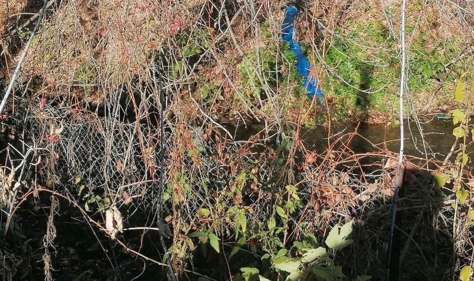 Жители Димитровграда сообщают в соцсетях об экологической катастрофе