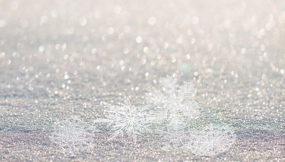 Многие ульяновцы не смогут увидеть первый снег