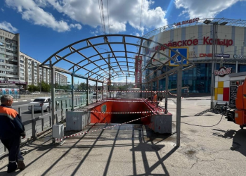 В ульяновском ТРЦ «Пушкаревское кольцо» делают прививки от гриппа