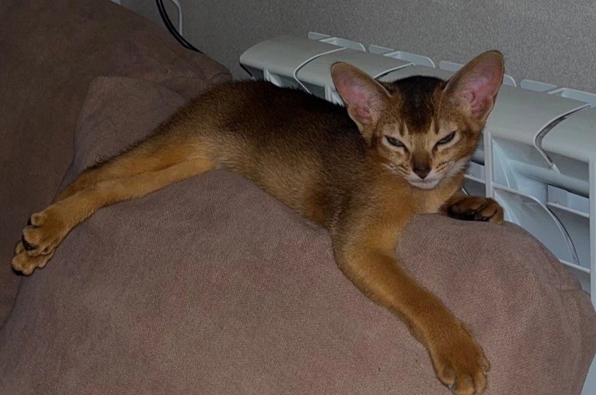 В Ульяновске к теплу подключено 98% зданий соцсферы и 69% многоквартирных домов