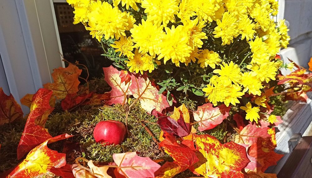 Ульяновскую область ждут ночные заморозки до -5 градусов