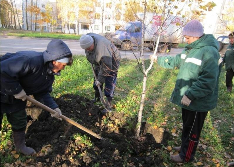 В Ульяновске приступили к очередному этапу озеленения города