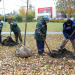 В сквере Строителей на 12 Сентября в Ульяновске высадили новые деревья