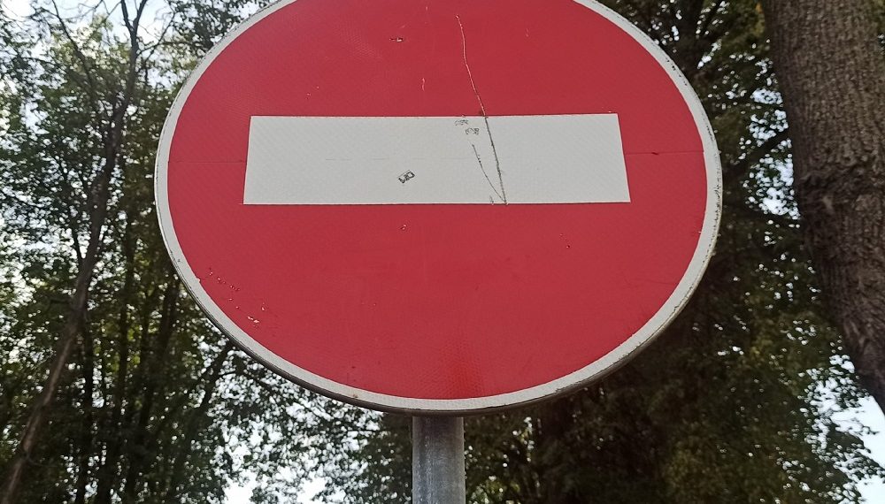 Дорожные знаки утонули в растительности Ульяновска