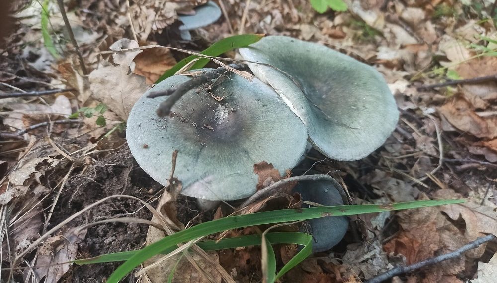 Ульяновскую область накрыл южный циклон