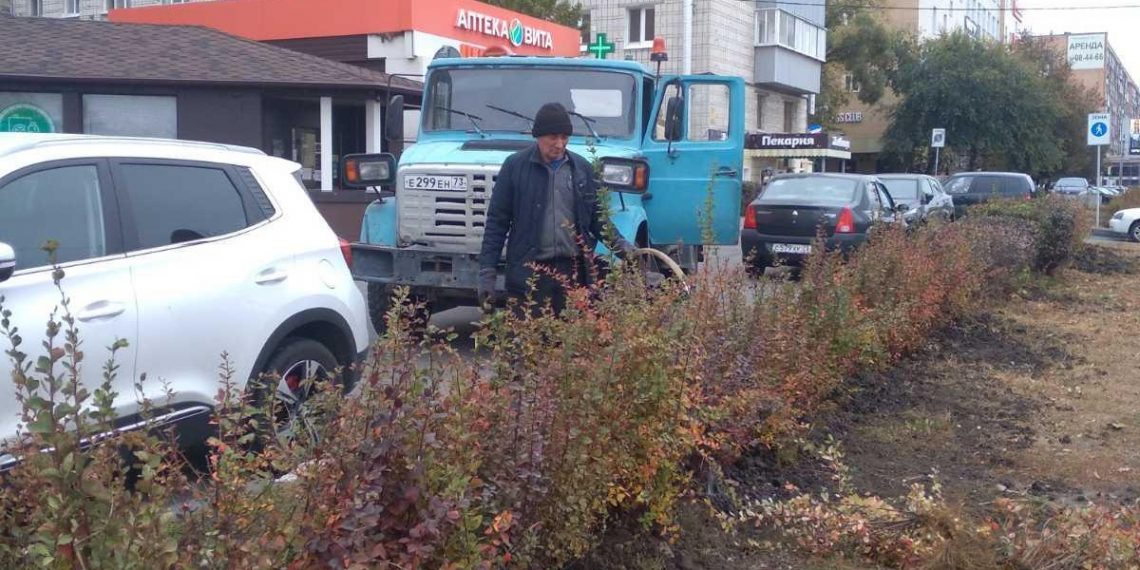 Вкусные кустарники высажены на Минаева в Ульяновске