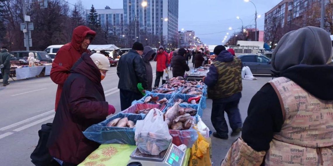 Вторая осенняя сельскохозяйственная ярмарка пройдет в Ульяновске 12 октября