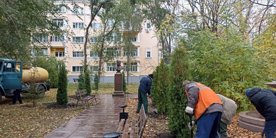 В ульяновском сквере Лермонтова появились 7 туй