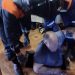 Ульяновские спасатели достали из подпола инвалида