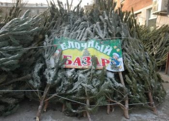 18 ёлочных базаров откроются в Ульяновске: смотрим адреса