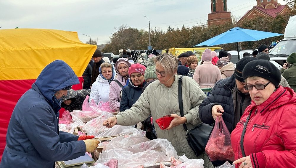 В Димитровграде развернулась областная сельскохозяйственная ярмарка