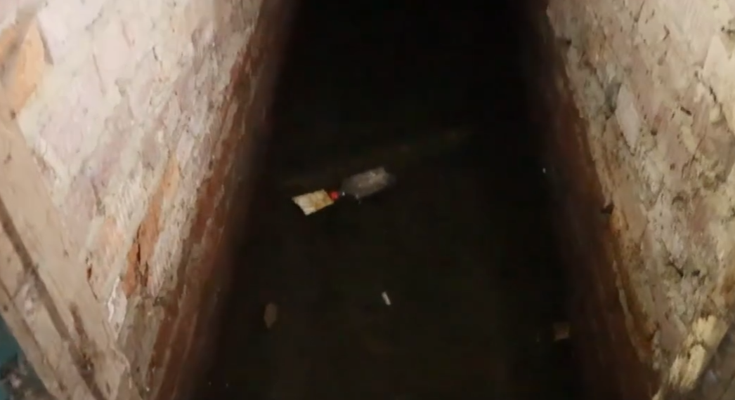 Ульяновский дом с крысами попал в поле зрения Александра Бастрыкина