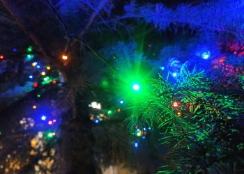 Где проведут новогодние корпоративы ульяновские компании