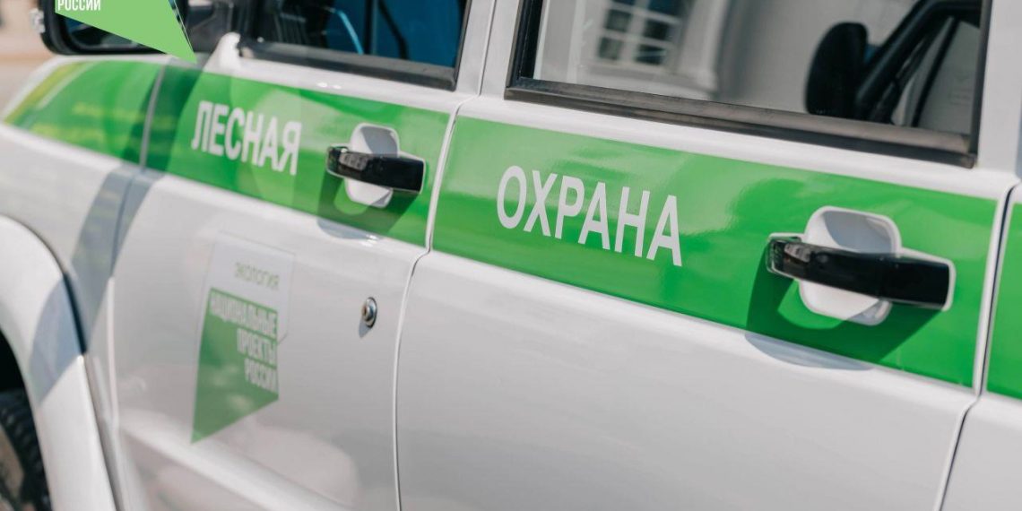 Ульяновское Минприроды отчиталось по нарушениям лесного законодательства