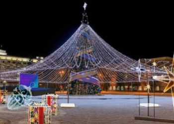 Главную новогоднюю ёлку Ульяновской области начнут собирать на этой неделе