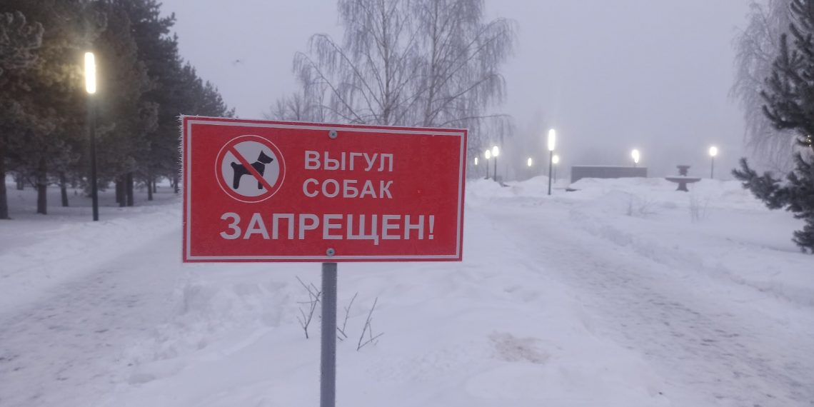 Ульяновские парламентарии попросили у Файзуллина денег на площадки для выгула собак