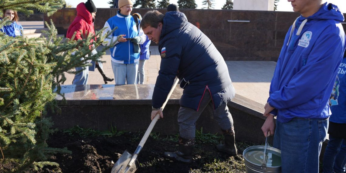 У Обелиска в Ульяновске высадили голубые ели, озеленителям помогал мэр