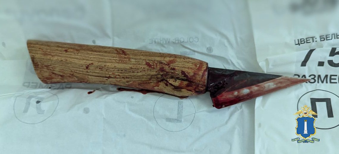 Застолье на Стасова переросло в поножовщину