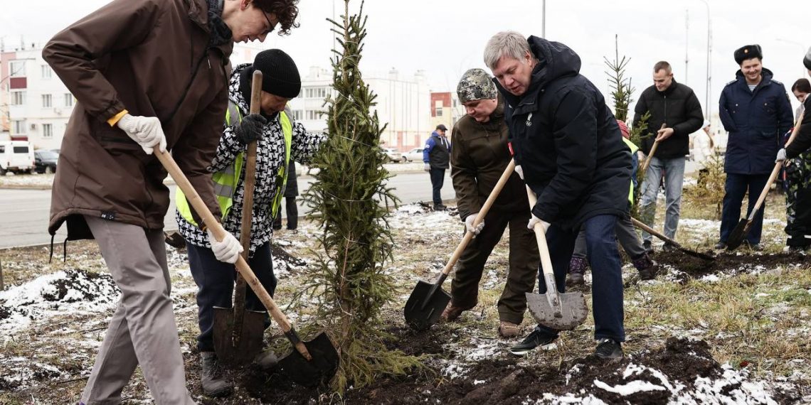 В Юго-Западном сажали липы, к работам привлекли главу региона