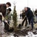 В Юго-Западном сажали липы, к работам привлекли главу региона
