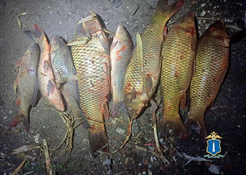 Самарского рыбака-браконьера поймали с поличным в Ульяновской области