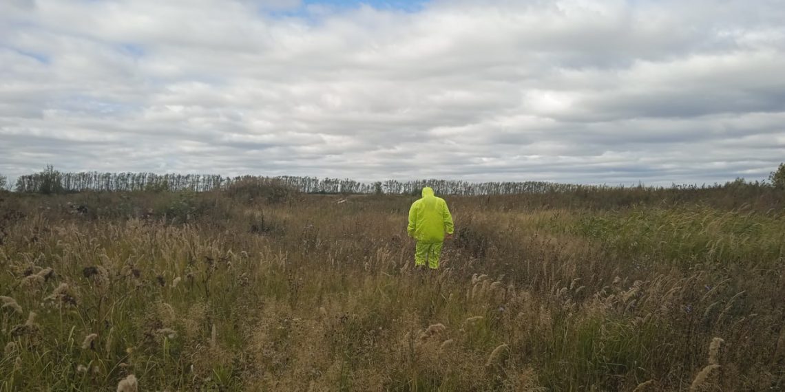 Мероприятия против африканской чумы свиней проводят в Ульяновской области