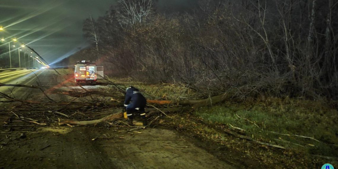От ветра в Ульяновске падали деревья и отключалось электричество