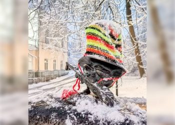 Ульяновских колобков приоденут к Новому году и устроят им баттл