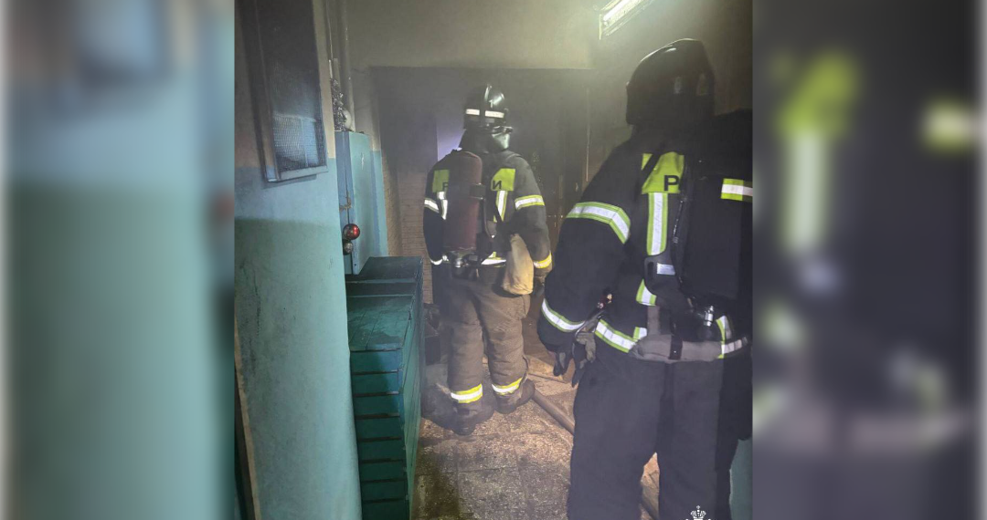 Ульяновские пожарные спасли женщину и вернули к жизни кота — видео