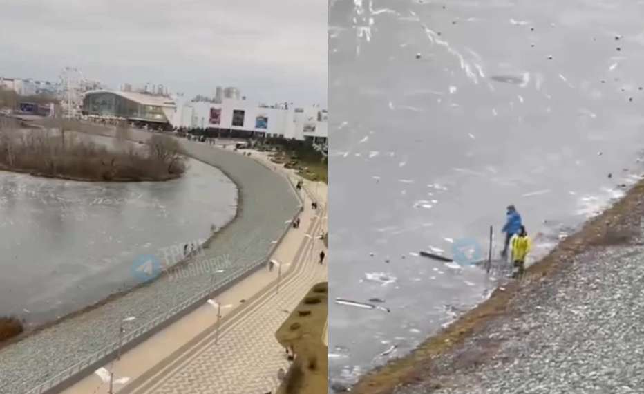 На опасном льду у «Аквамолла» в Ульяновске заметили играющих детей