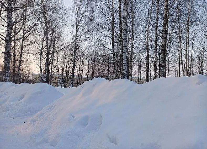 Сильный снег и гололёд ожидаются в Ульяновской области