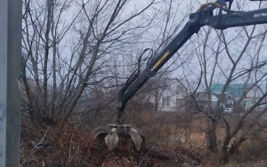 Аварийные деревья на минувшей неделе больше всего беспокоили жителей Ульяновской области