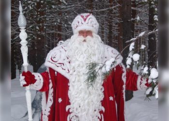 На открытиях ёлок в городских парках побывали свыше восьми тысяч ульяновцев