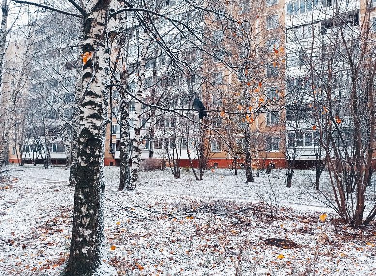 В субботу в Ульяновске разогреет до +3 °C, но обещают ледяной дождь